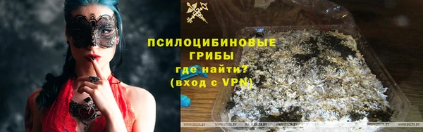 ешки Алексин