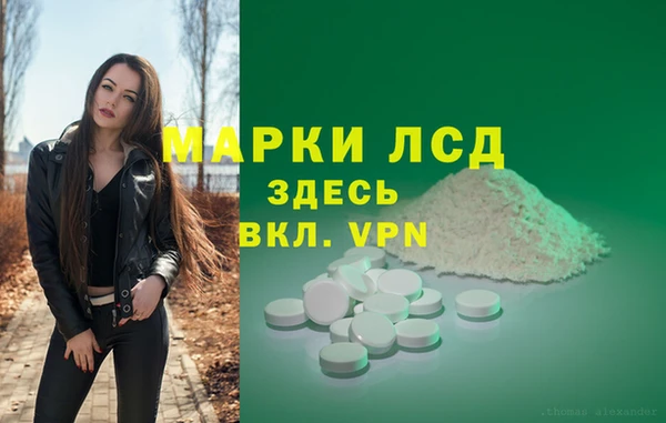 СК Абинск