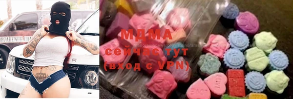 ешки Алексин